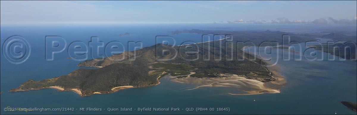 Peter Bellingham Photography Mt Flinders - Quion Island - Byfield National Park - QLD (PBH4 00 18645)